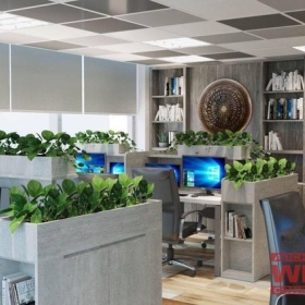 Giảm ô nhiễm môi trường với thiết kế nội thất xanh Giảm ô nhiễm môi trường với thiết kế nội thất xanh